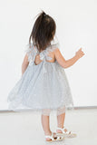 little girls gray and silver sequin swirl tulle dress