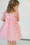 Girl's Pink Tulle and Red Hearts Puff Sleeve Dress with Ruched Chest Detail