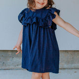 Little Girl's Navy Swiss Dot Ruffle Collar Cotton Shift Dress