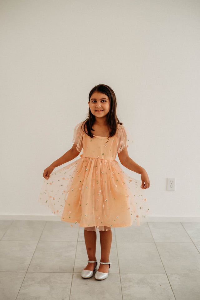 Little Girl's Peach Tulle Daisy Print Twirl Dress