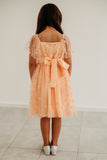 Little Girl's Peach Tulle Daisy Print Twirl Dress